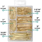HangDone Nails Assortment 250-Pieces 4 Sizes, Brass Plated