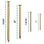 HangDone Nails Assortment 250-Pieces 4 Sizes, Brass Plated