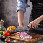Chef Knife, TANSUNG Kitchen Knife 8 Inch Pro Chef's Knife Cooking Knife Ultra Sharp Knife for Home Restaurant Cookers with High Carbon Stainless Steel Ergonomic Wooden Handle and Elegant Gift Box
